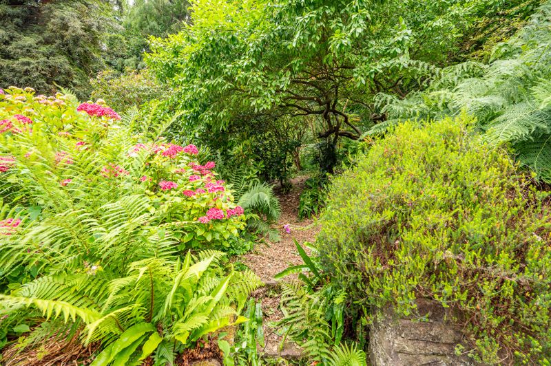 Woodland- click for photo gallery